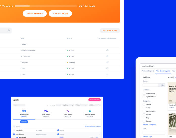 Divi for agencies