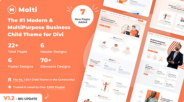 Divi Marketplace Item - Molti