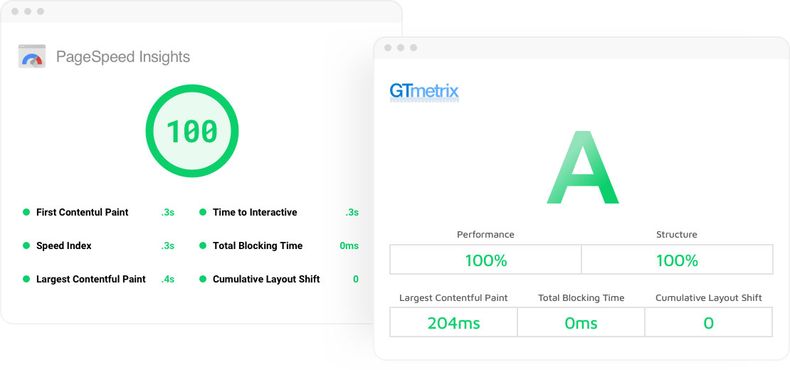 Website Speed Score